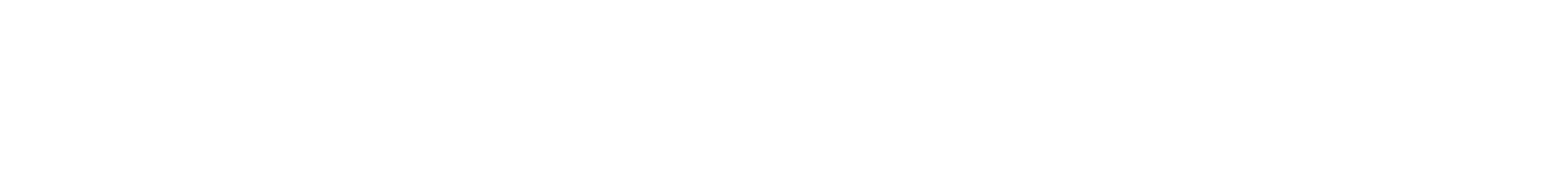 protocolo (1) - Copia